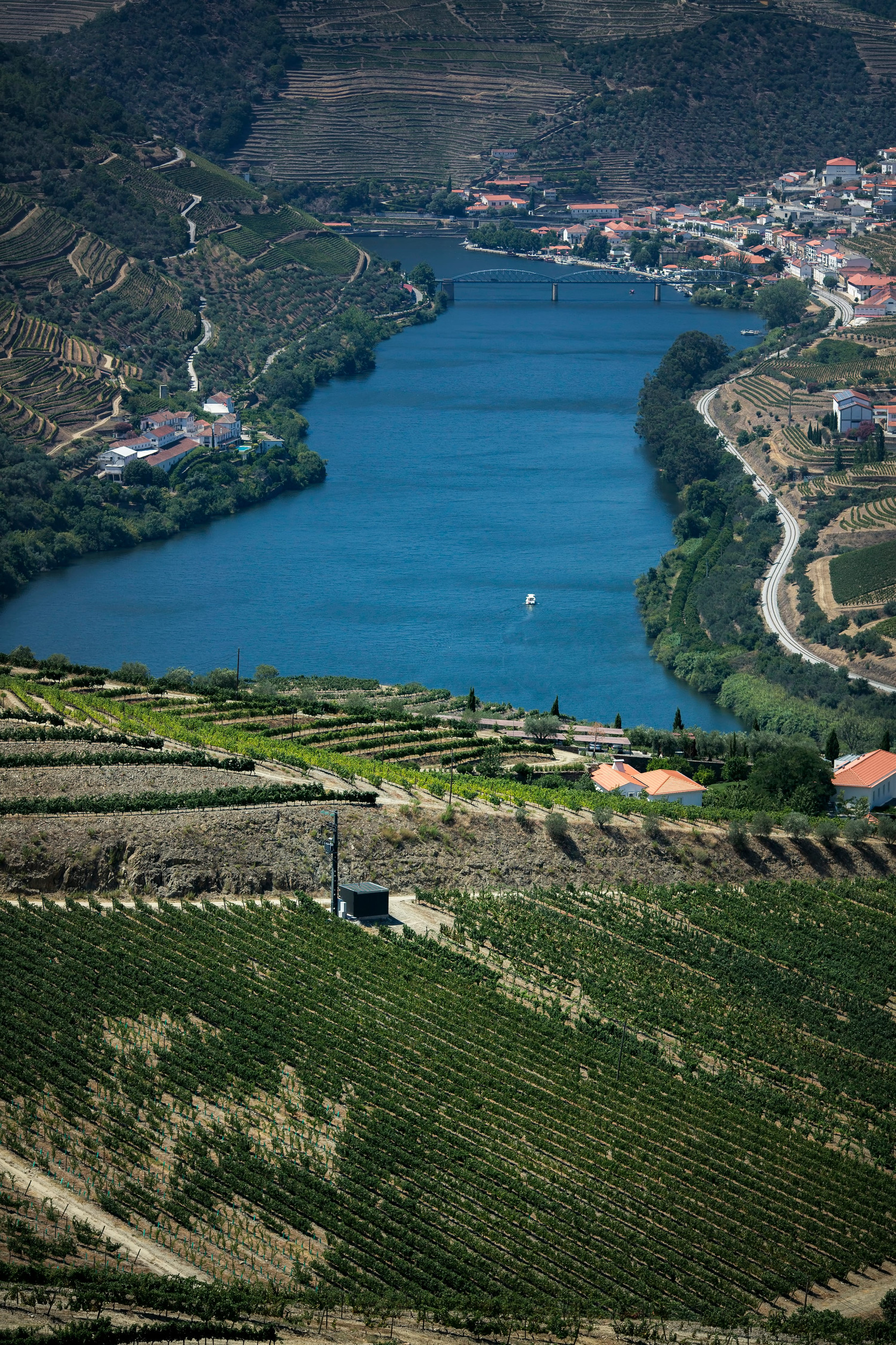 A river flows between terraced hills and vineyards, inviting wine tourism enthusiasts, with a small town in the background.