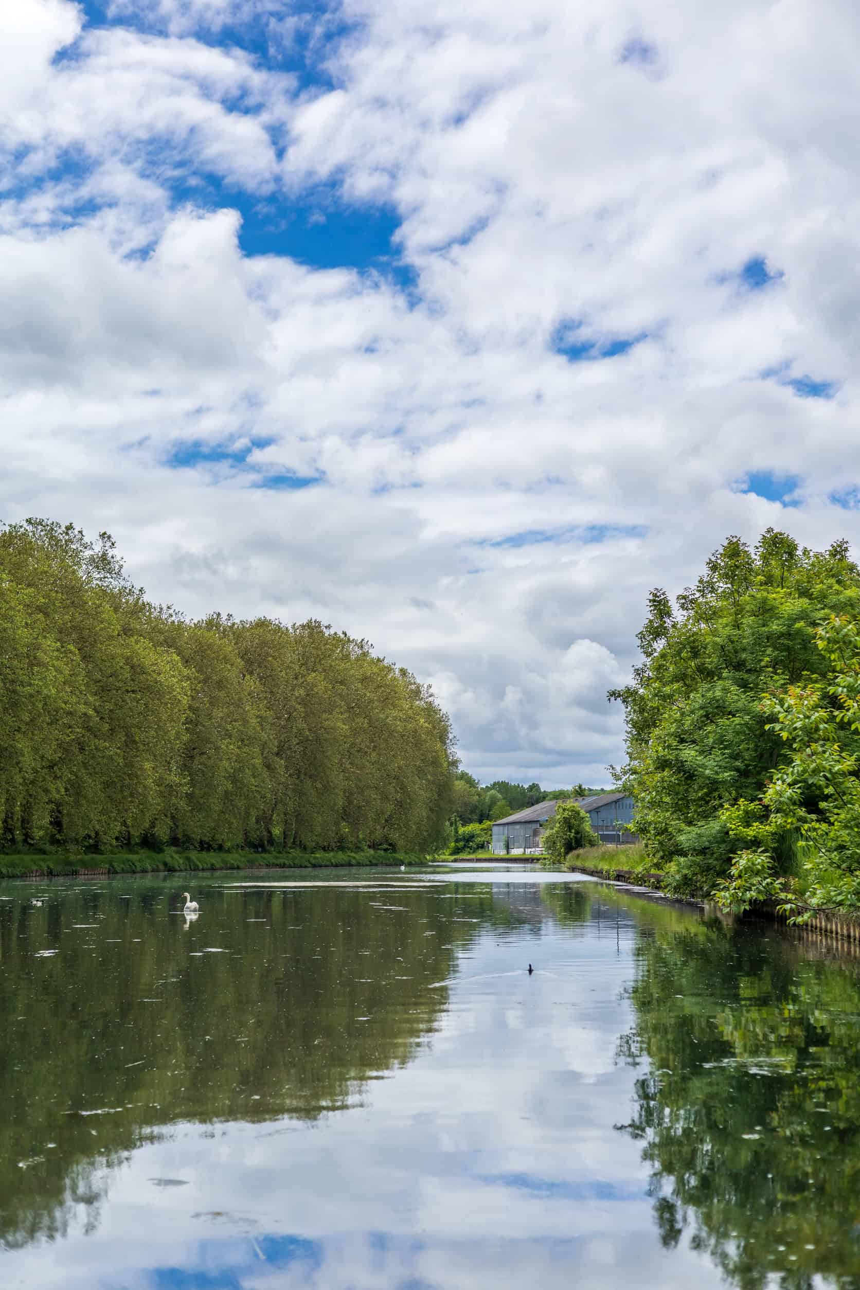 A calm river with a swan, bordered by trees and buildings under a partly cloudy sky, sets the perfect scene for a luxury barge cruise.