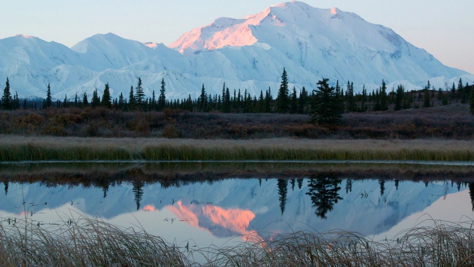 Snowy mountain reflected in calm water, with trees and grasses in the foreground at sunrise or sunset.