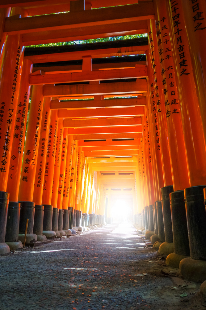 Sunlight shines through a tunnel of bright orange Torii gates at Fushimi Inari Shrine in Kyoto, Japan, creating a mesmerizing sight for anyone traveling in Japan.