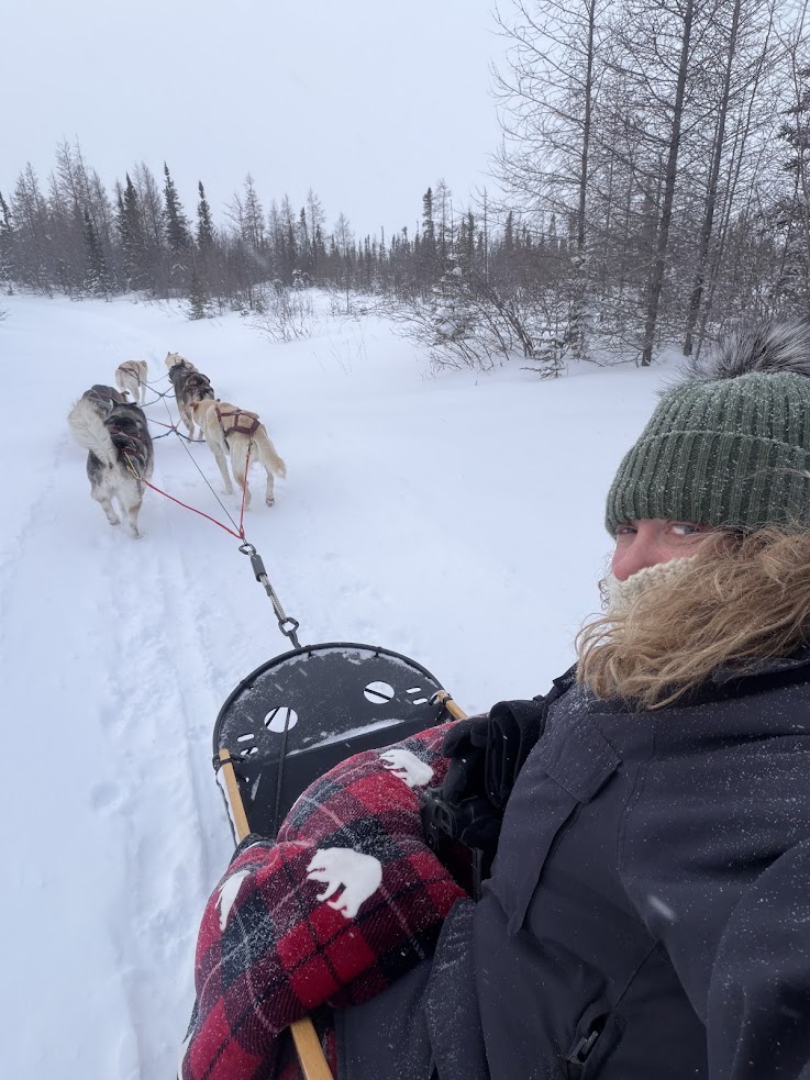 Person rides a dog sled through snowy woods, wrapped in a red plaid blanket with white animal shapes&mdash;a classic scene on a Churchill Northern Lights tour.