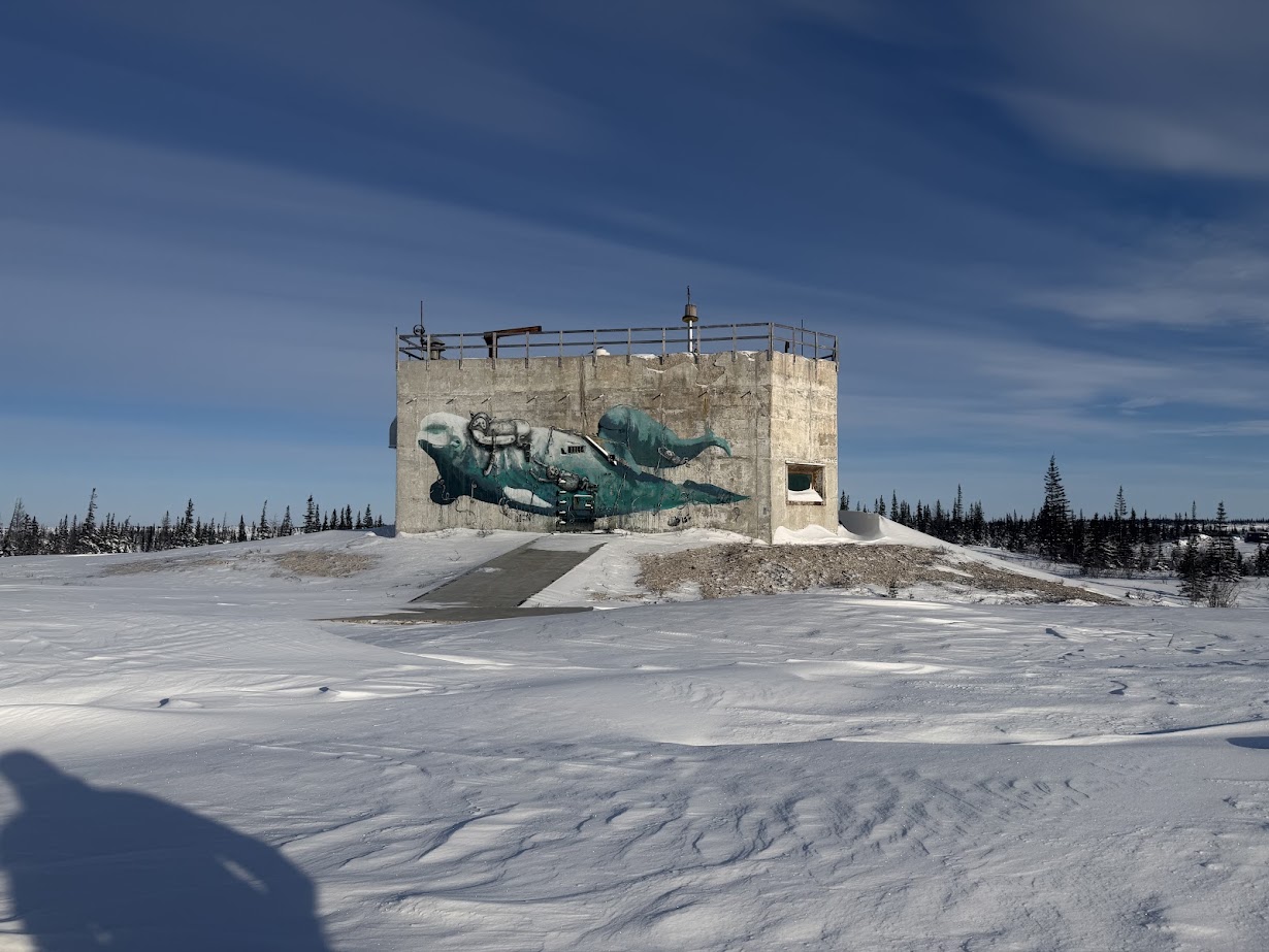 A concrete building with a beluga whale mural stands in a snowy, open landscape under a blue sky&mdash;the perfect backdrop for those embarking on a Churchill northern lights tour.
