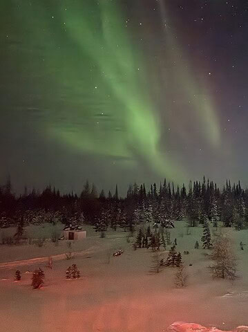 A person stands on snowy ground watching green northern lights above a forest at night, capturing the magic often experienced during a Churchill Northern Lights tour.