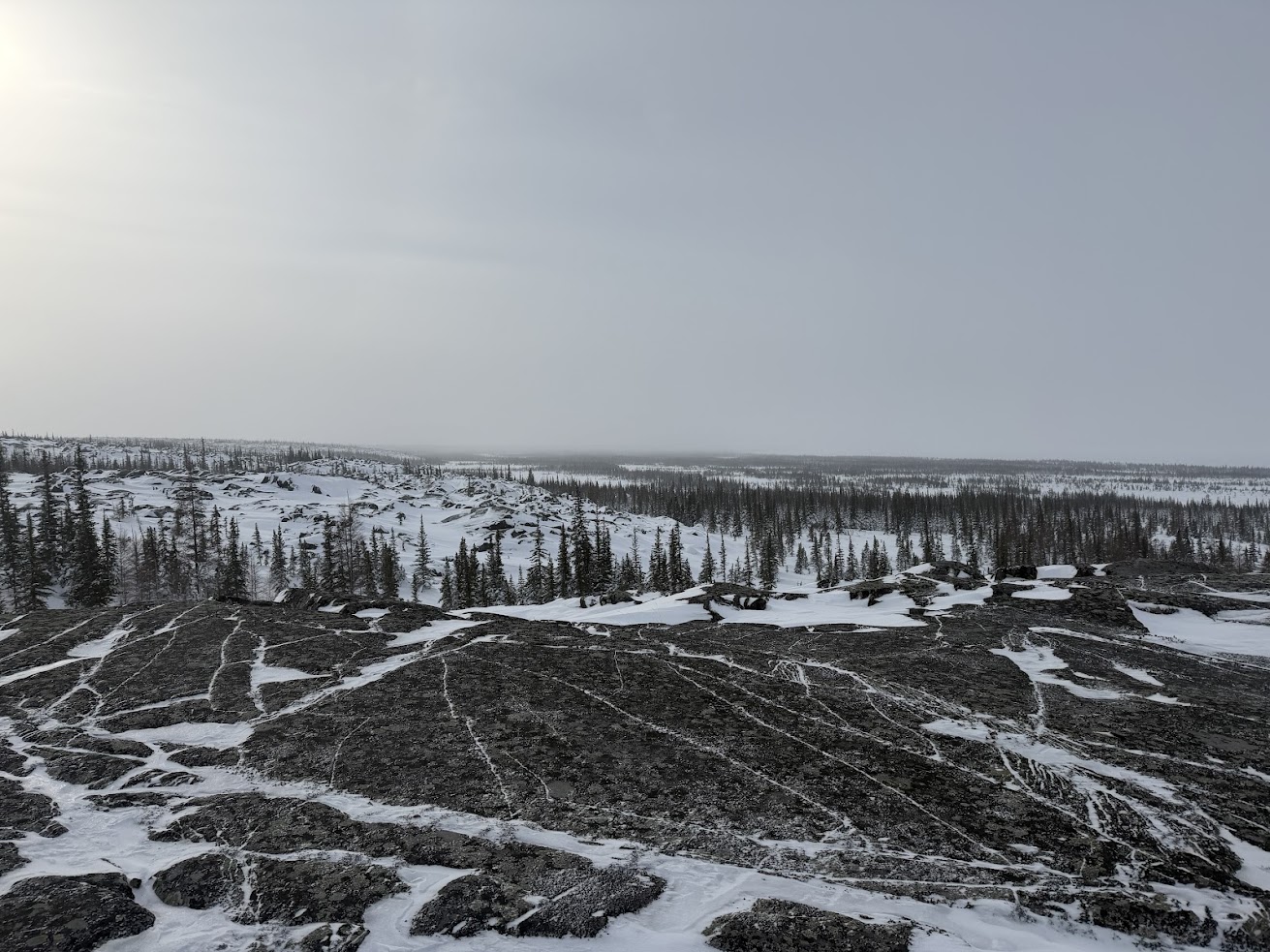 Snowy, rocky landscape with scattered evergreen trees under a cloudy sky in a remote wilderness area&mdash;perfect scenery for an unforgettable Churchill northern lights tour.