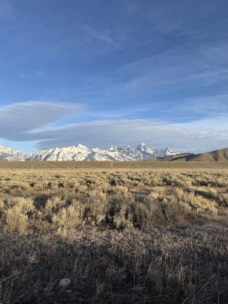 Snowy mountains under a blue sky rise above a dry, grassy field with scattered shrubs&mdash;a classic scene found in many Jackson Hole travel guide recommendations.