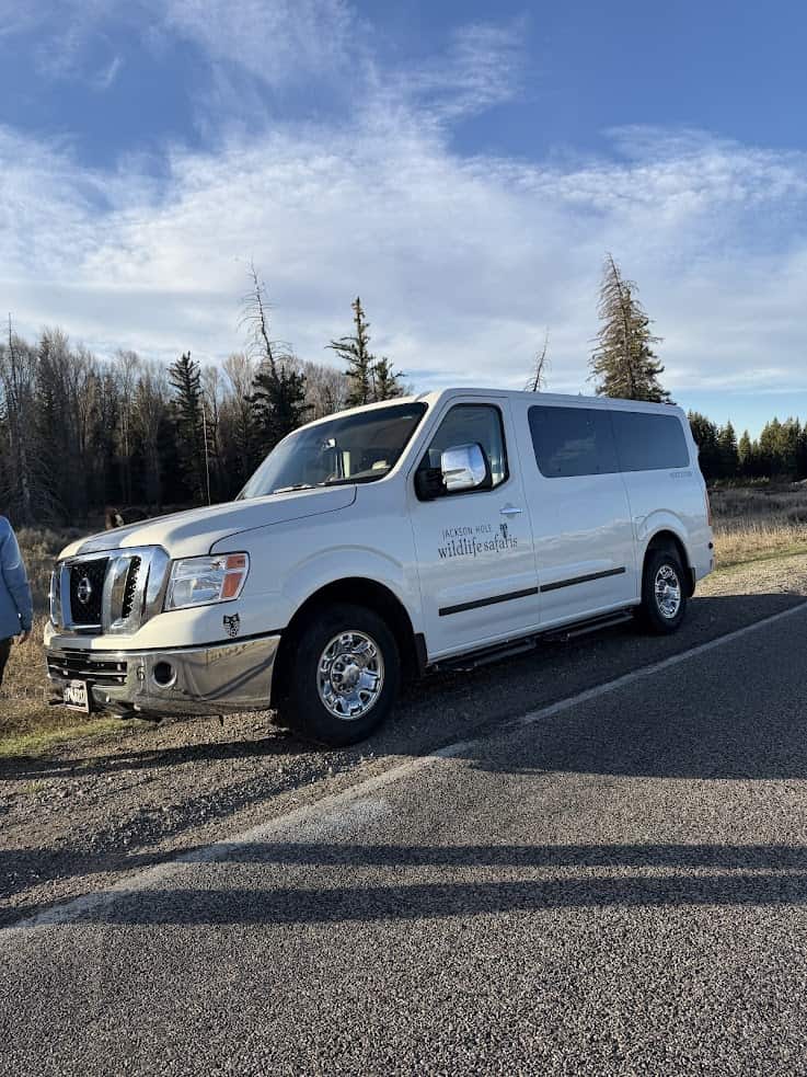 A white van labeled "Jackson Hole Wildlife Safaris," featured in the jackson hole travel guide, is parked by a road with trees in the background.