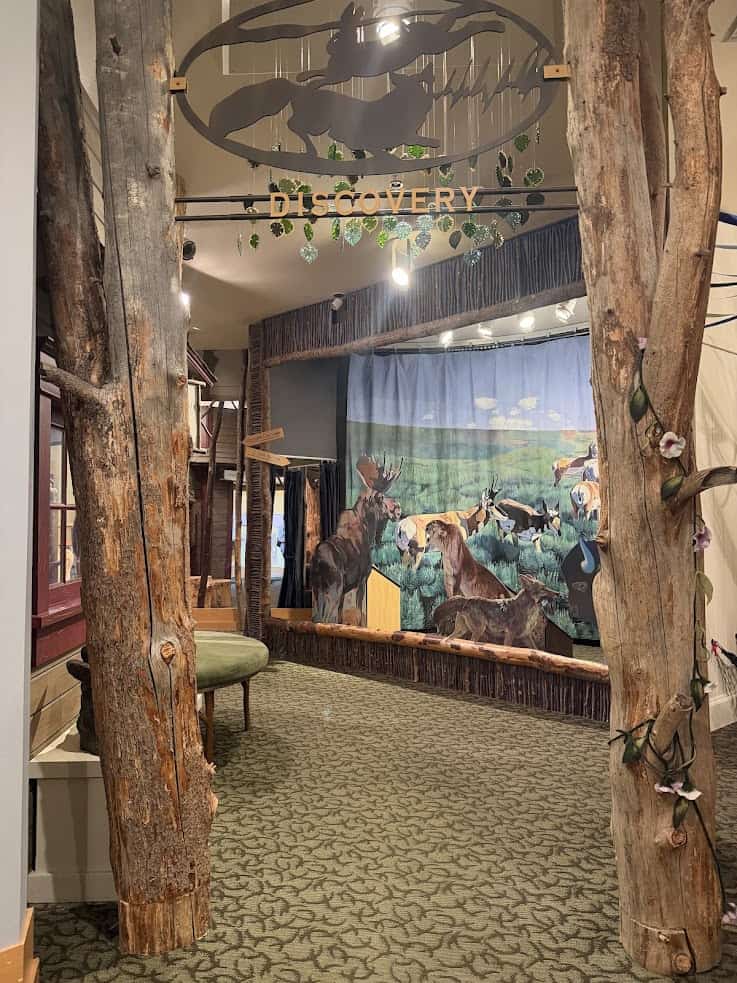 Entrance to a nature exhibit with animal murals, tree trunks, and a sign reading "Discovery," reminiscent of the immersive experiences highlighted in any worthwhile Jackson Hole travel guide.