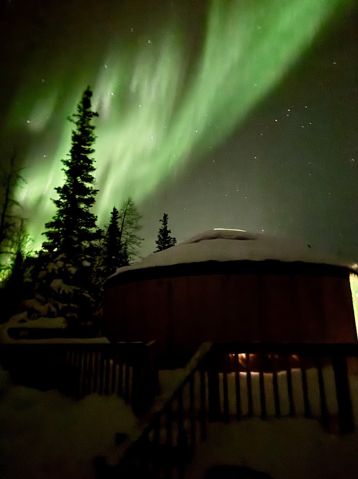 Green northern lights swirl in the night sky above a snowy yurt and pine trees, creating a magical scene that captures the essence of a Churchill northern lights tour.