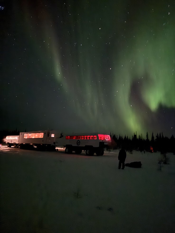 Northern lights glow green above snowy ground, silhouetted vehicles, and trees at night&mdash;a breathtaking scene often experienced on a Churchill northern lights tour.