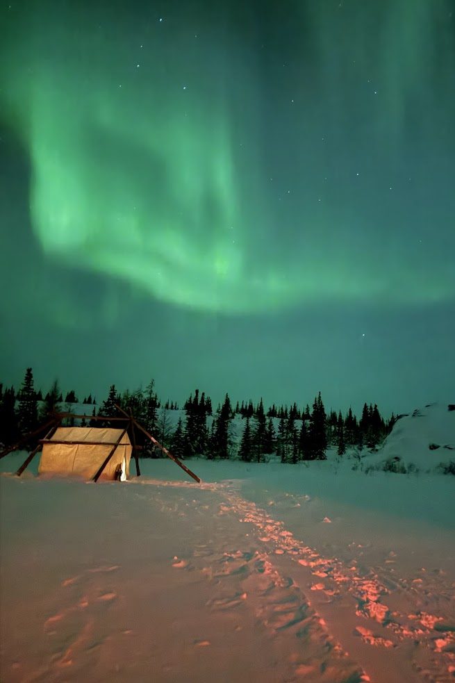 A glowing tent under green northern lights, snowy ground, trees, and a sky full of stars&mdash;an enchanting scene reminiscent of a Churchill northern lights tour.