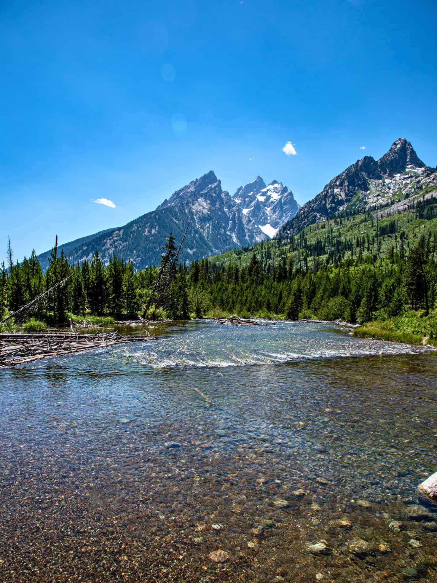 Clear river with rocky bottom, pine trees, and snowy mountains under a bright blue sky in the background&mdash;a scene straight out of a Jackson Hole travel guide.