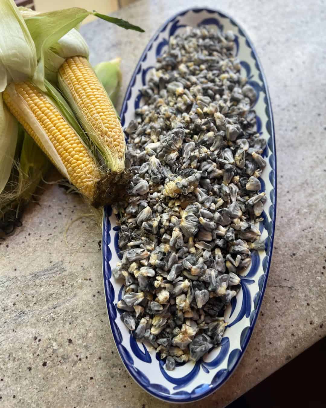 Oval plate with fresh huitlacoche (corn fungus) next to ears of corn on a countertop—a delicacy found in top foodie destinations.