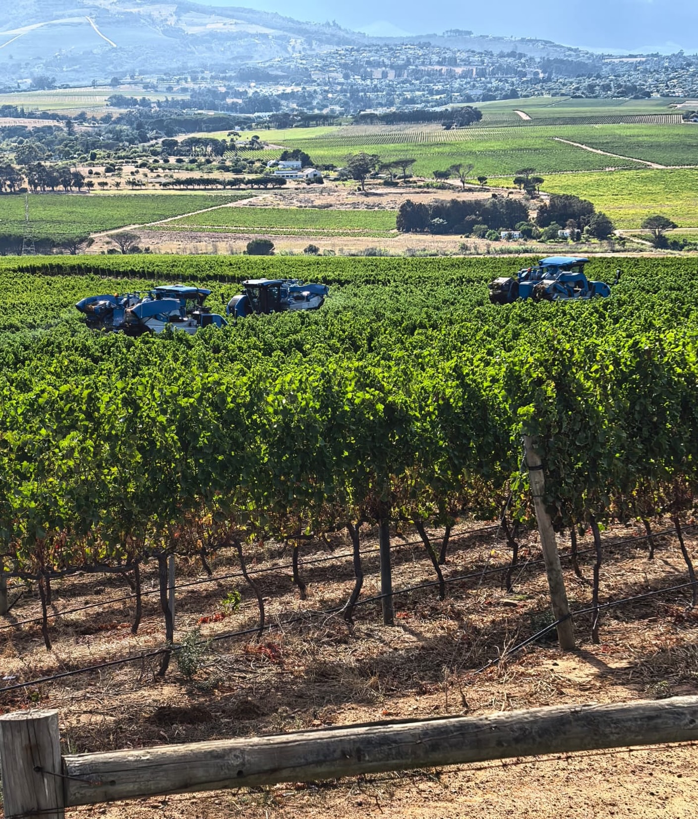 Blue tractors working in a vast green vineyard with mountains and fields in the background, capturing the essence of wine tourism.
