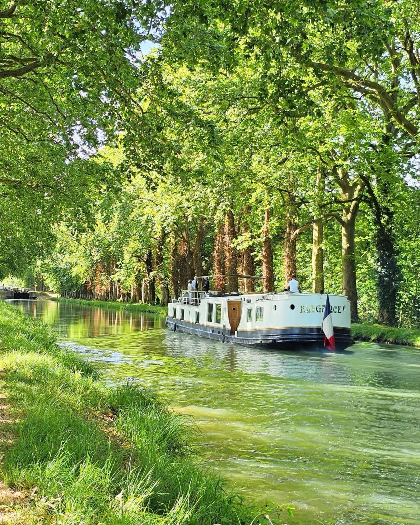 A luxury barge cruise floats down a tree-lined canal, with lush green leaves and sunlight filtering through.