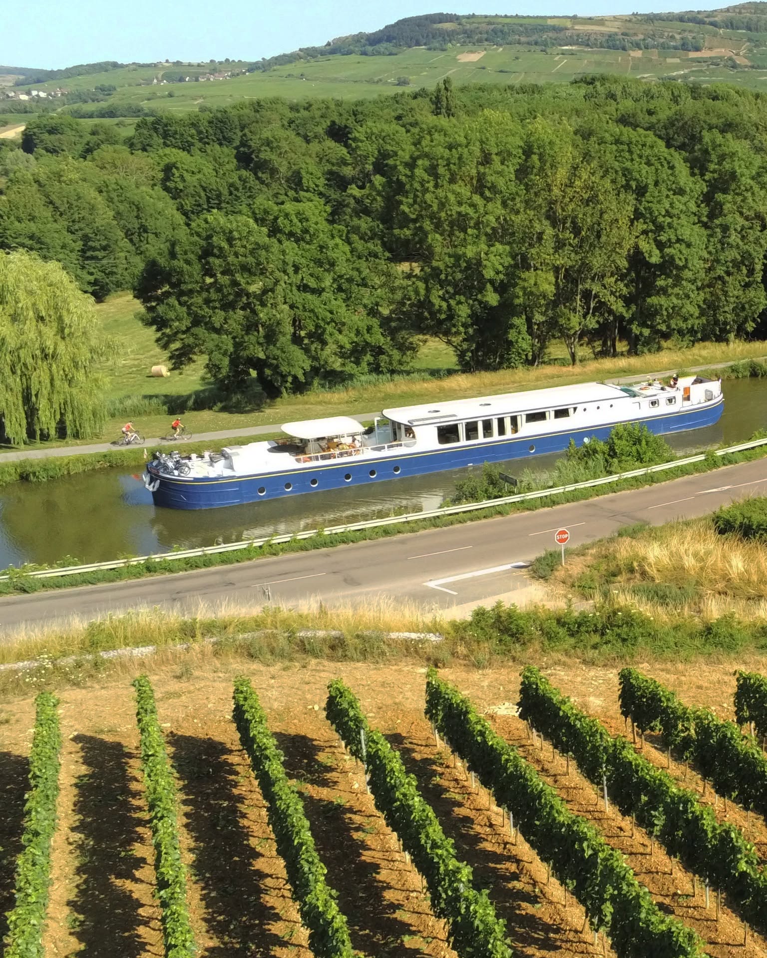 A blue and white canal boat embarks on a luxury barge cruise along a river, gliding beside vineyards and lush green trees.