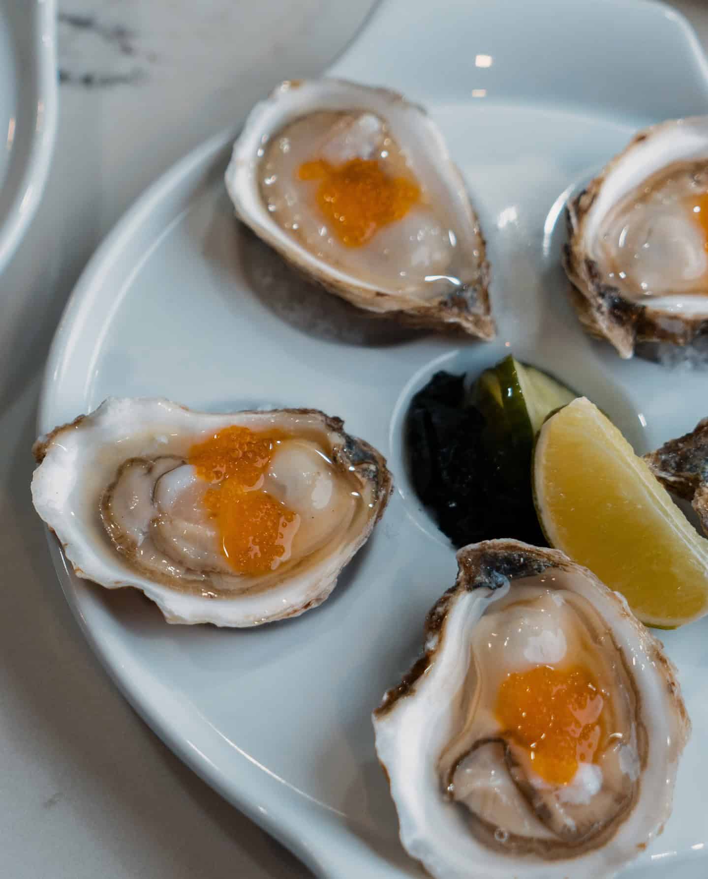 Four oysters with orange roe, a lemon wedge, and seaweed on a white plate offer a taste of Grand Cayman luxury travel on your table.