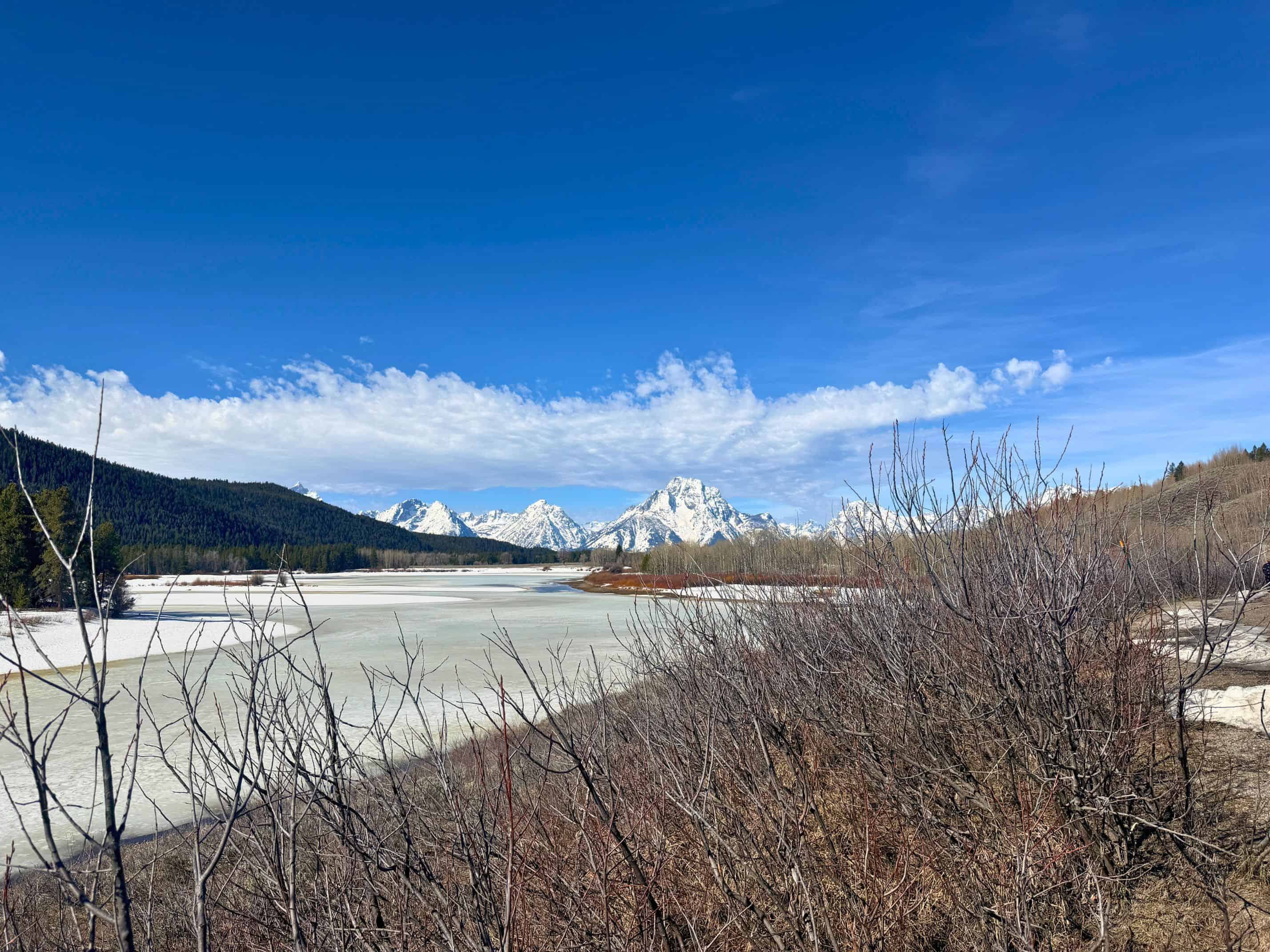 Snow-capped mountains under a blue sky, with bare bushes and a partially frozen lake in the foreground&mdash;an iconic scene straight out of a Jackson Hole travel guide.