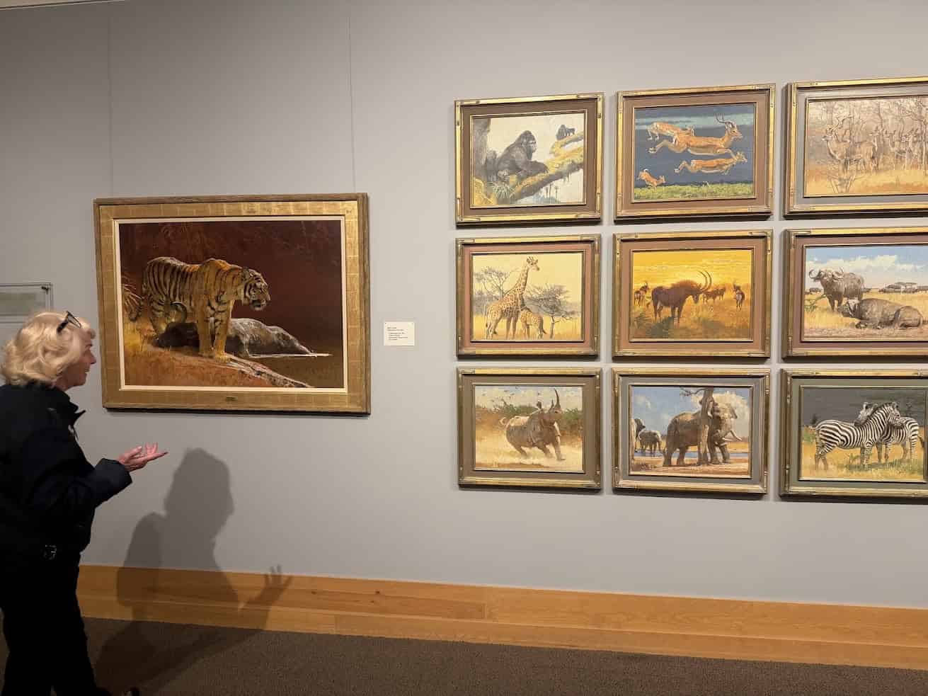 A woman views wildlife paintings on a gallery wall, including a large tiger and several African animal scenes&mdash;an experience reminiscent of the inspiration found in any Jackson Hole travel guide.