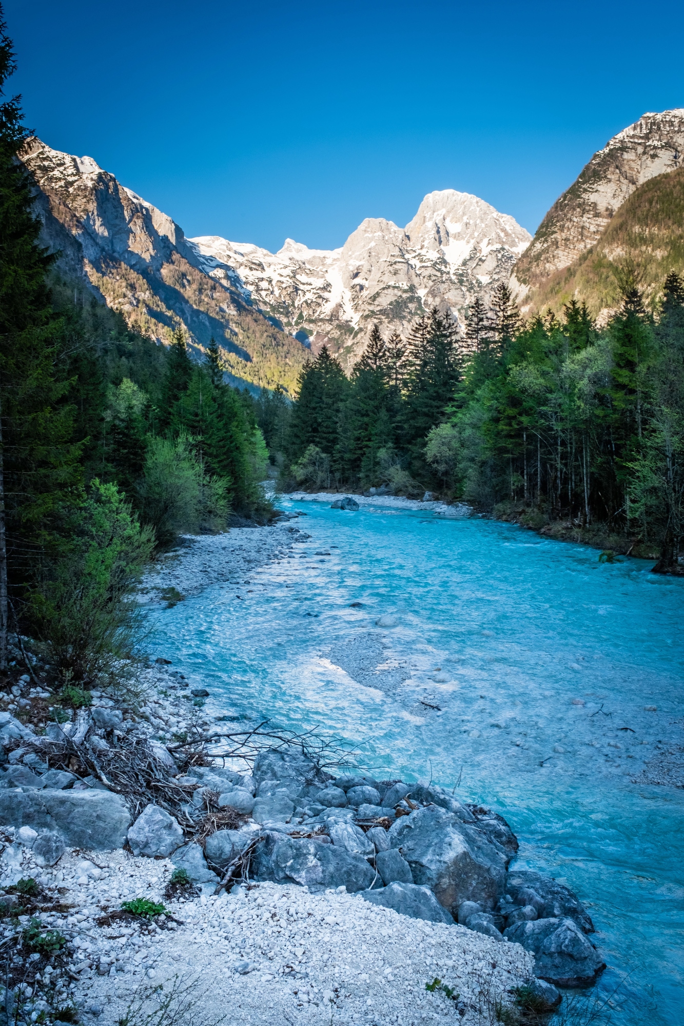A turquoise river flows through a forest with snowy mountains in the background under a clear blue sky, offering breathtaking views reminiscent of european destination dupes.