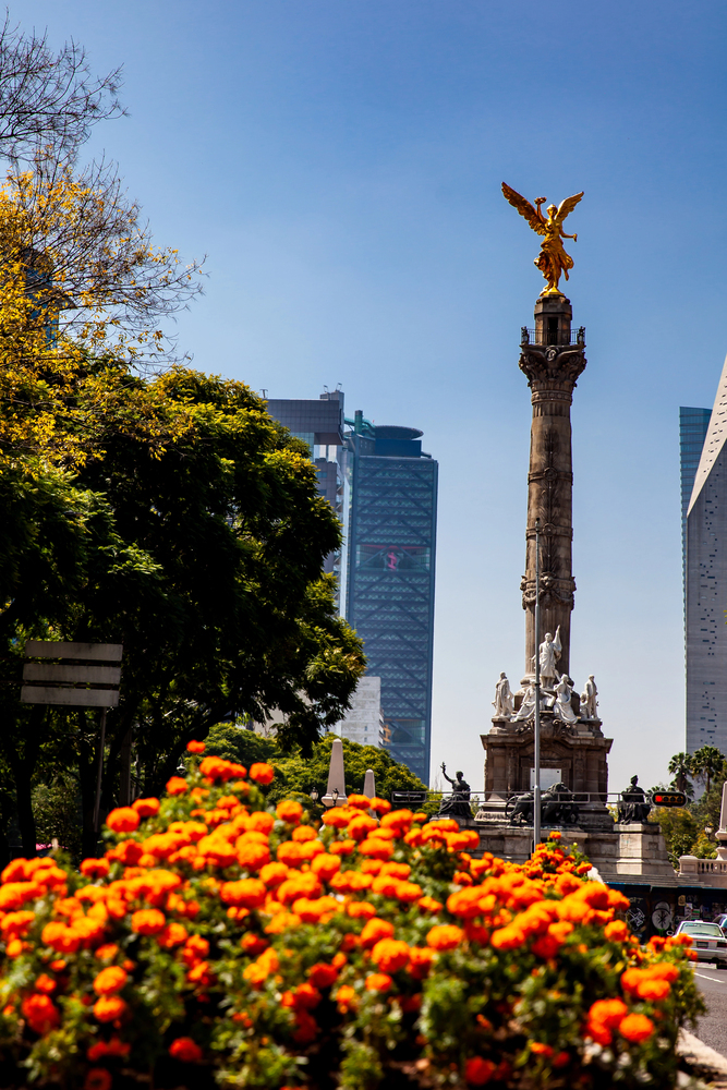 Orange flowers in front of a tall monument with a golden statue, city buildings in the background&mdash;an enchanting scene that brings to mind popular European destination dupes.