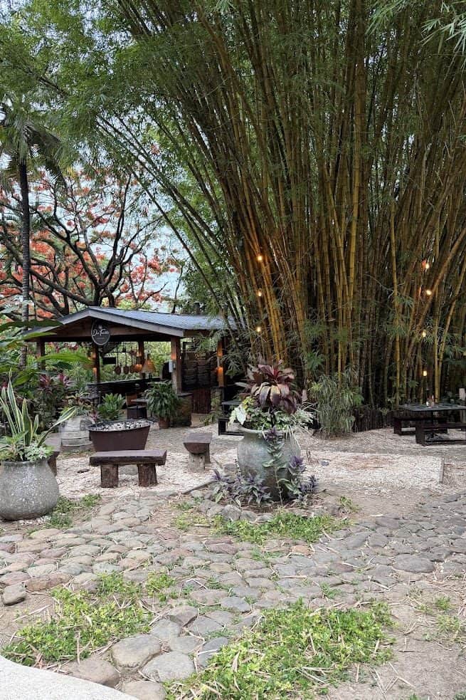 Outdoor cafe with wooden benches, large bamboo, potted plants, and a stone path in a lush garden setting—creating an atmosphere reminiscent of The Rainforest Lodge at Sleeping Giant.