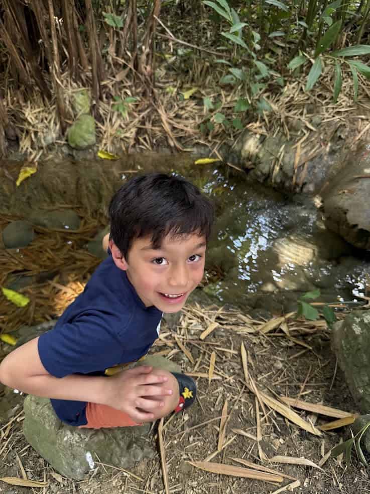 Smiling child kneeling by a small creek surrounded by bamboo and rocks in a natural setting, reminiscent of scenes from The Rainforest Lodge at Sleeping Giant Review.