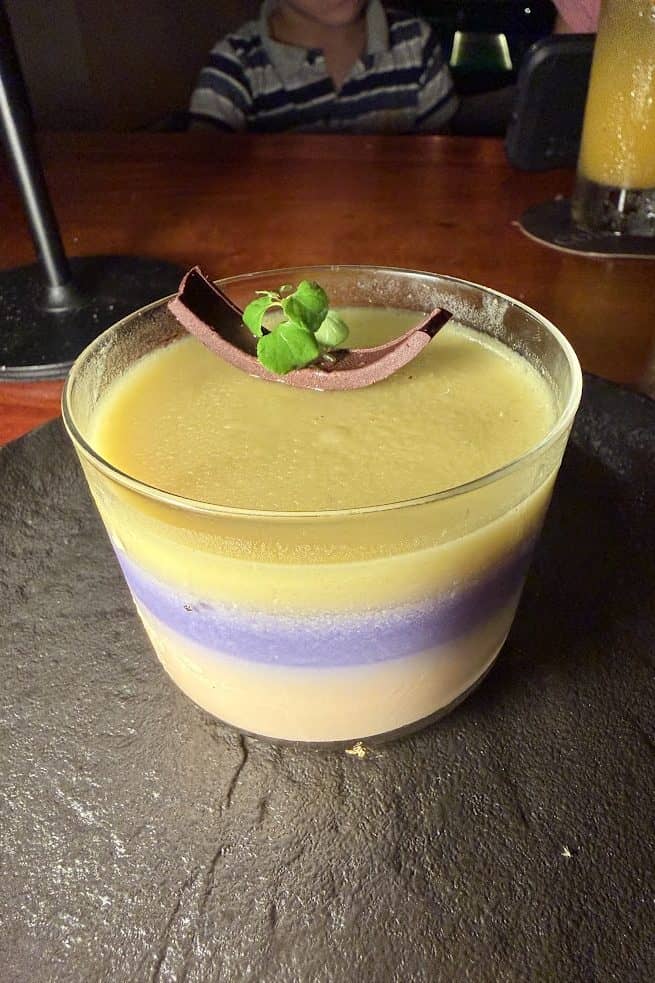 A layered custard dessert in a glass, topped with chocolate and mint, sits on a dark plate—its elegant presentation reminiscent of the refined dining experiences described in The Rainforest Lodge at Sleeping Giant Review.