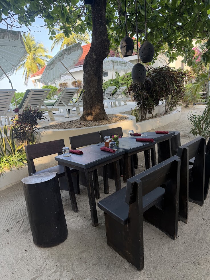 Outdoor dining table with benches on sand, under a tree, near lounge chairs and umbrellas at a beach resort&mdash;perfect for guests inspired by a glowing The Lodge at Jaguar Reef review.
