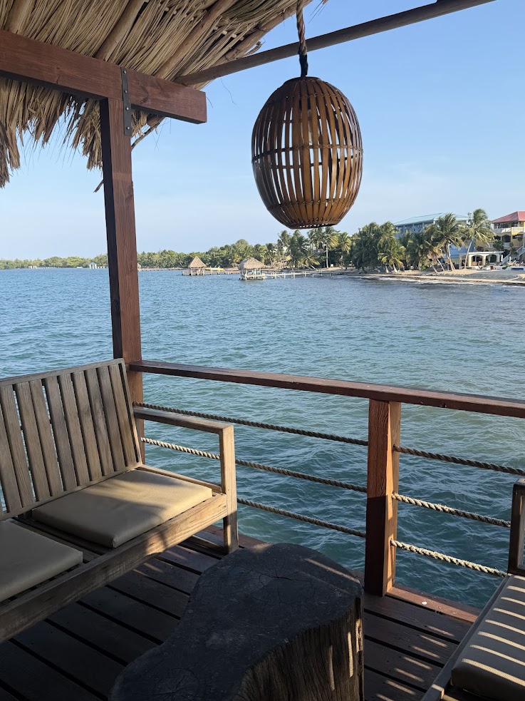 Wooden deck with chairs overlooks calm blue water, palm trees, and a sandy beach under a clear sky&mdash;a serene setting reminiscent of scenes described in many The Lodge at Jaguar Reef reviews.