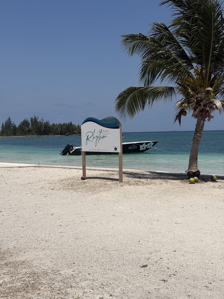 A sandy beach with a palm tree, a sign, turquoise water, and a boat floating near the shore&mdash;an idyllic setting reminiscent of the scenes described in the lodge at jaguar reef review.
