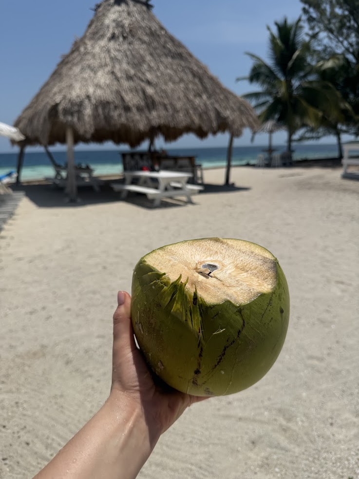 Hand holding a fresh coconut on a sandy beach with a thatched hut, palm trees, and ocean in the background&mdash;just like the tropical paradise described in many The Lodge at Jaguar Reef reviews.