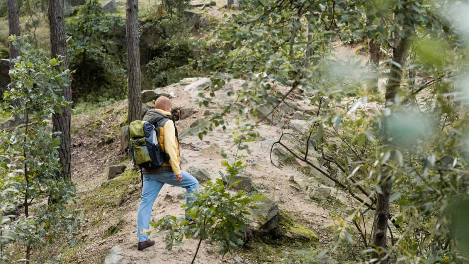 Person with a backpack hiking up a rocky forest trail surrounded by trees and greenery, prepared for unpredictable weather with all the travel essentials packed securely.