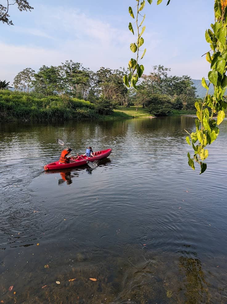 Two people paddle a red kayak on a calm river, surrounded by greenery and overhanging leaves—a tranquil scene reminiscent of the natural beauty described in The Rainforest Lodge at Sleeping Giant Review.