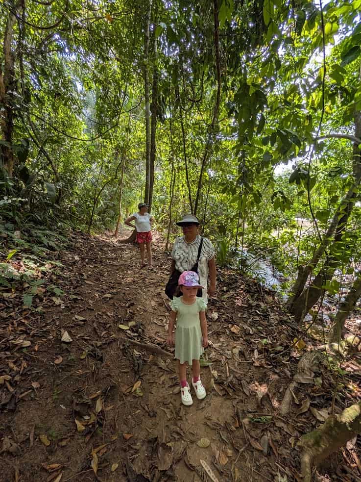 A woman and child stand on a forest trail, with another person walking behind them among lush green trees—an experience reminiscent of the serene paths at The Rainforest Lodge at Sleeping Giant Review.
