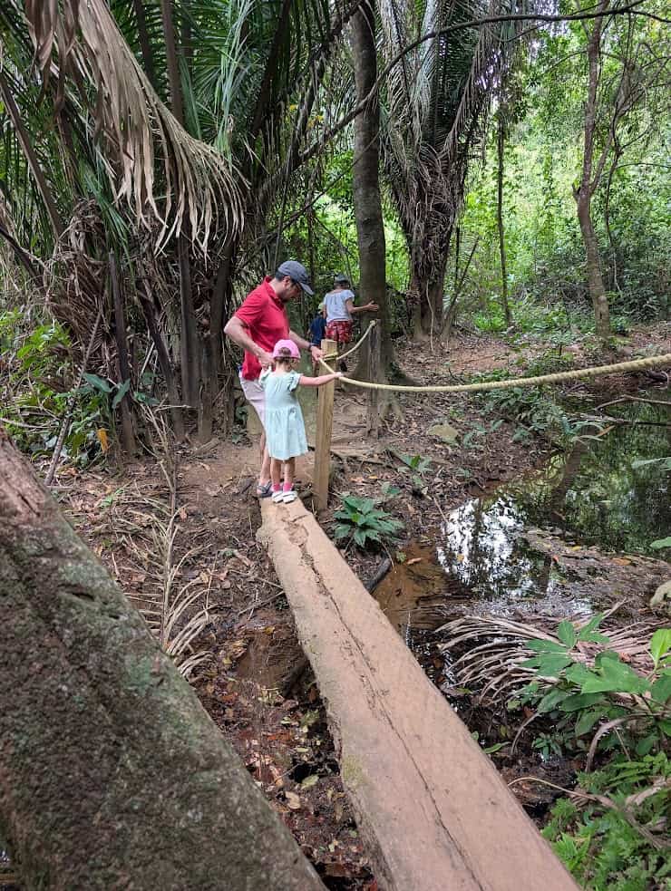 A man helps two children cross a narrow wooden log bridge in a dense, green forest, reminiscent of the lush surroundings described in The Rainforest Lodge at Sleeping Giant review.