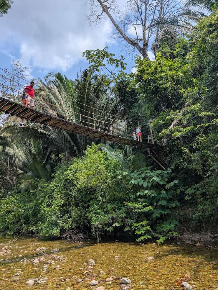 Two people cross a wooden suspension bridge over a rocky stream surrounded by lush green trees and plants, evoking scenes reminiscent of The Rainforest Lodge at Sleeping Giant Review.