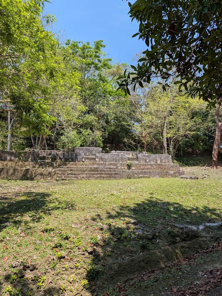Stone ruins with steps surrounded by grass, trees, and dappled sunlight under a clear blue sky evoke the sense of discovery found on a Belize reef and ruins trip.