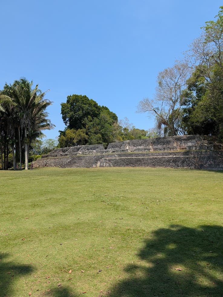 Ancient stone ruins with steps, surrounded by grass and trees under a clear blue sky&mdash;an ideal highlight for any Belize reef and ruins trip.