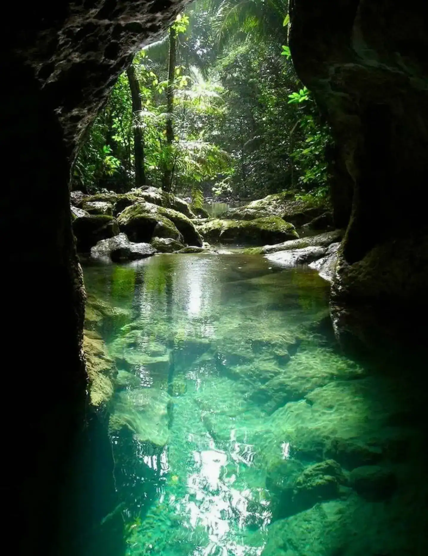 View from inside a cave, looking out to a lush forest with clear water reflecting greenery and sunlight&mdash;an experience reminiscent of the hidden wonders on a Belize reef and ruins trip.