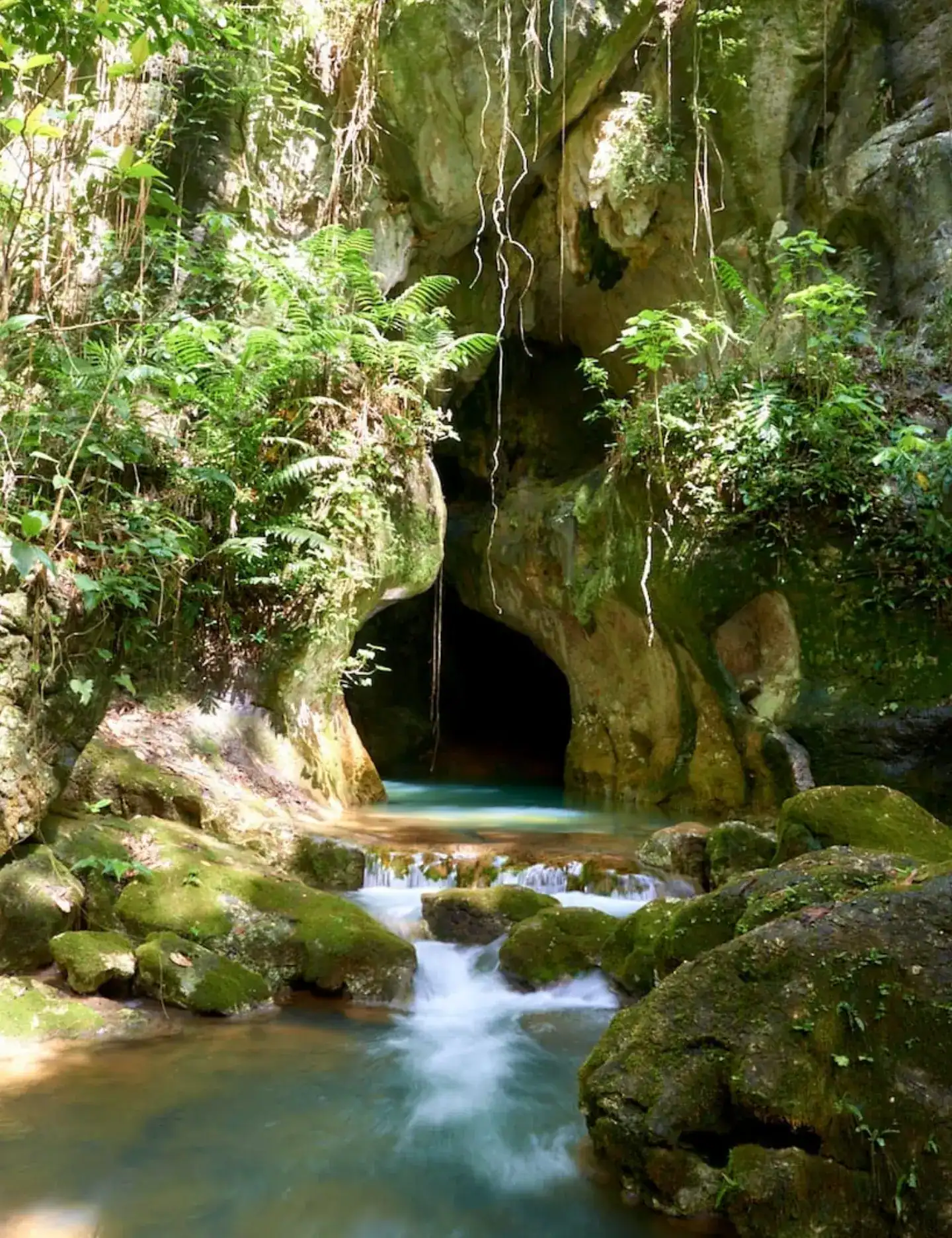 A stream flows over mossy rocks toward a cave entrance surrounded by lush green ferns and plants, evoking the natural beauty found on a Belize reef and ruins trip.