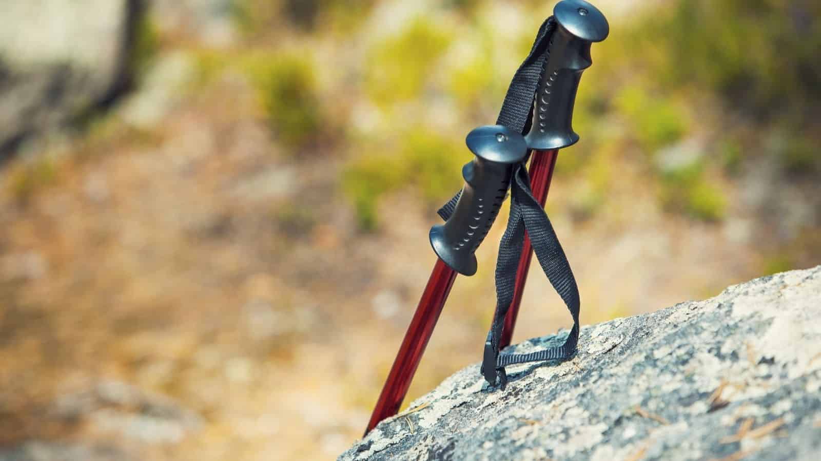Two red trekking poles with black handles rest against a rock outdoors, essential travel companions for hiking in unpredictable weather, set against a blurred nature background.