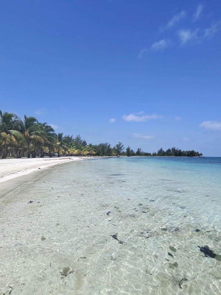 Clear blue water and white sandy beach lined with palm trees under a sunny, bright blue sky&mdash;just as described in many a glowing The Lodge at Jaguar Reef review.