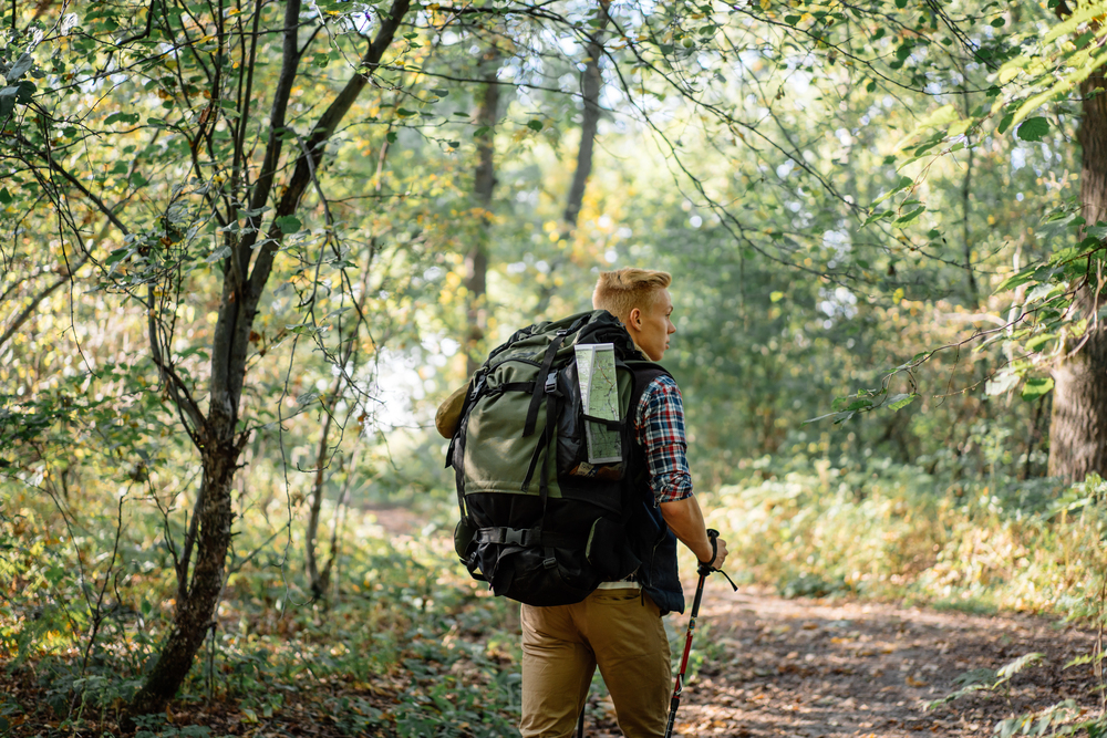 A person with a large backpack enjoys empty nest travel while hiking on a forest trail surrounded by green trees on a sunny day.