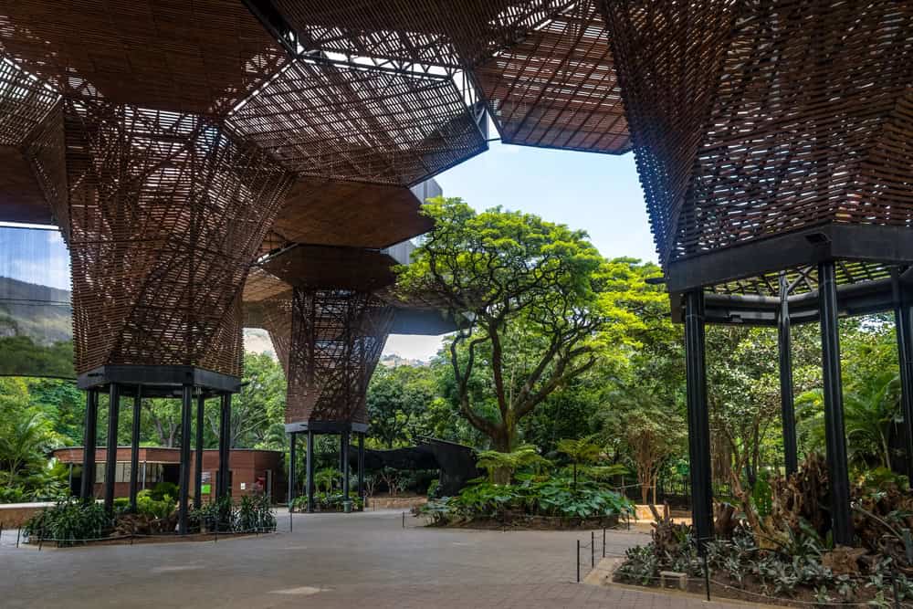 Large woven canopy structures provide shade over a lush, green botanical garden pathway—one of the most delightful things to do in Medellin with kids.