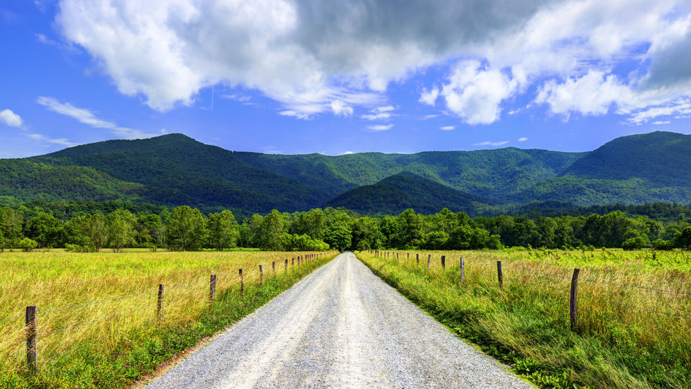Gravel road through green fields, lined by fences, with forested mountains and blue sky in the background—perfect for family-friendly bike rides in a scenic national park.