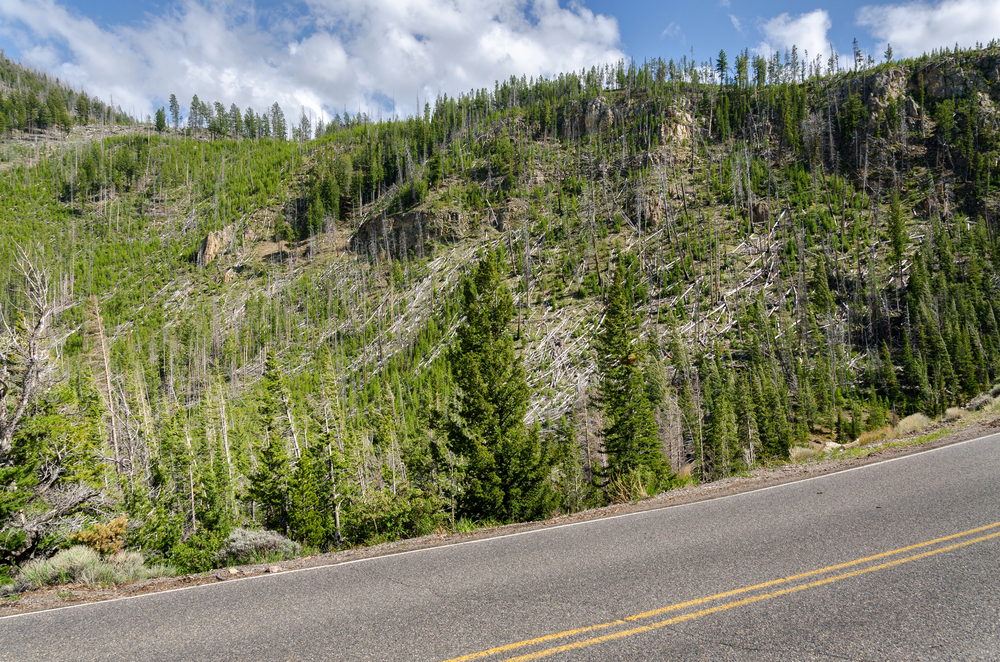 A paved road with yellow lines runs beside a green, forested hillside under a partly cloudy sky, offering family-friendly national park bike rides.