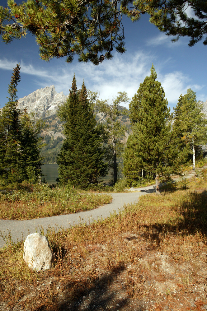 Curved path through pine trees with mountains and a bright blue sky in the background, perfect for family-friendly national park bike rides.