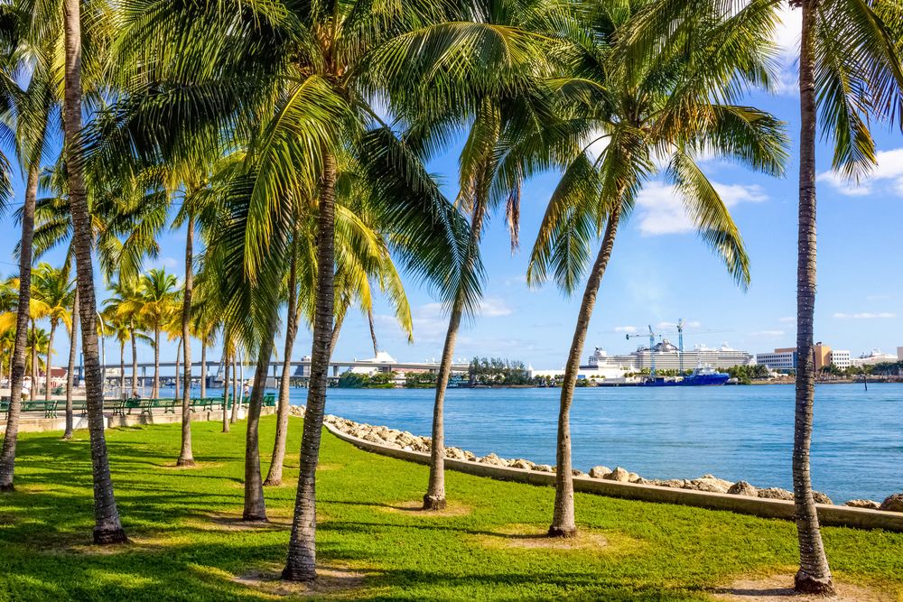 Palm trees by the waterfront with blue sky, water, and distant buildings in the background set a scenic view reminiscent of those described in a Gale Miami Hotel & Residences Review.