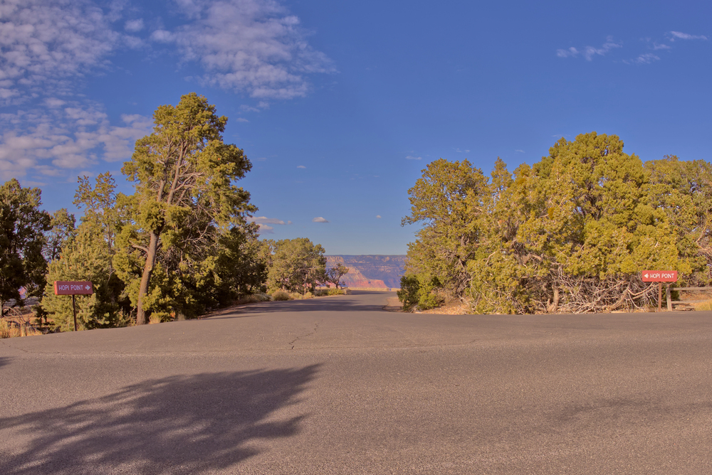 Road with trees on both sides, signs reading “Look Point,” and a distant canyon under a blue sky—perfect for family-friendly national park bike rides.