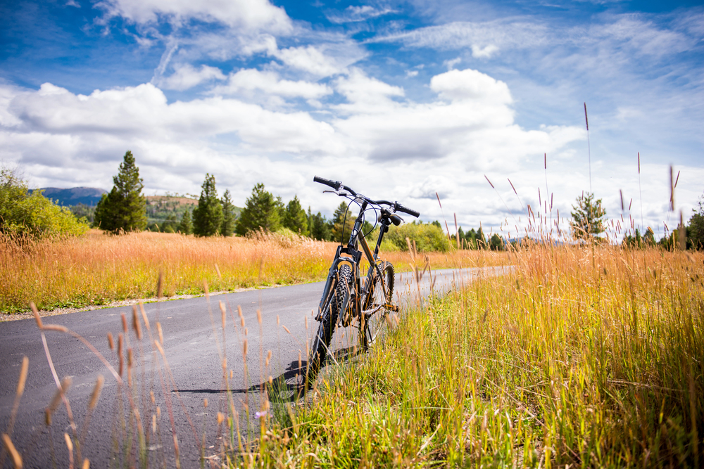 A bicycle stands on a paved path through tall grass under a bright blue sky with clouds, inviting family-friendly national park bike rides.